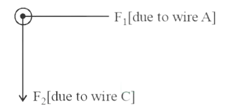 NEET 2017 Physics - Moving Charges and Magnetism Question 69 English Explanation